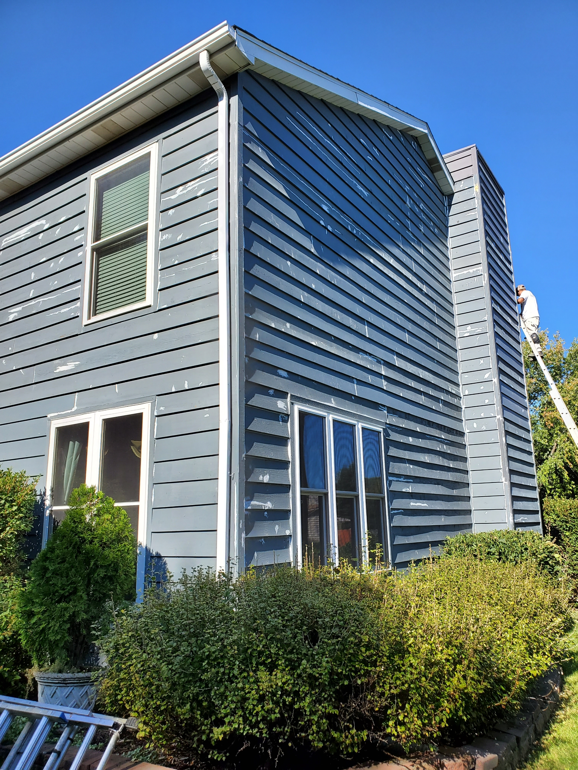 Painting and Remodeling Services